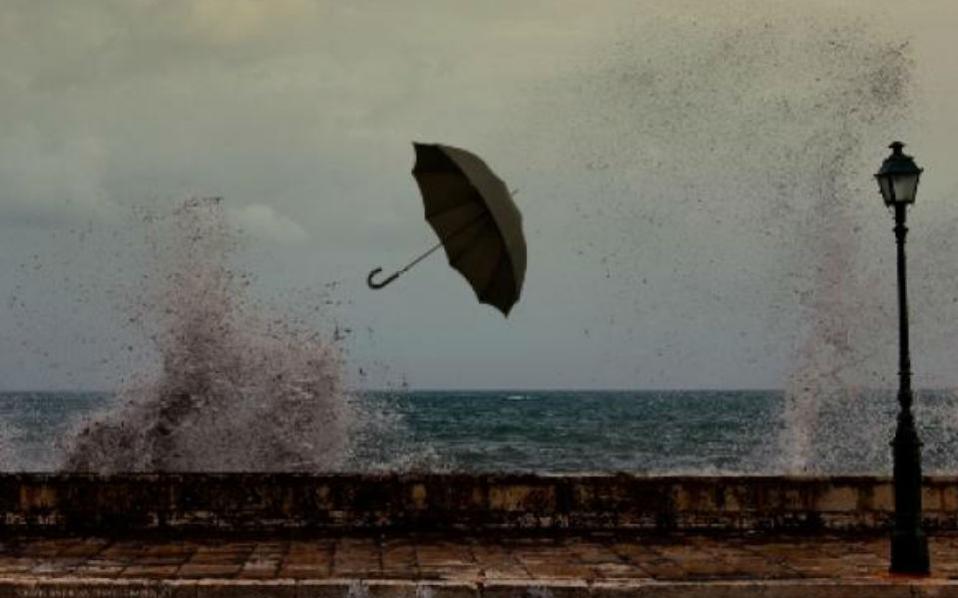 gale-force-gale-force
