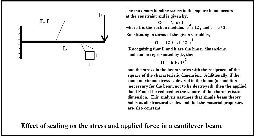 【06cantilever_beam】什么意思_英语06cantilever_beam的翻译