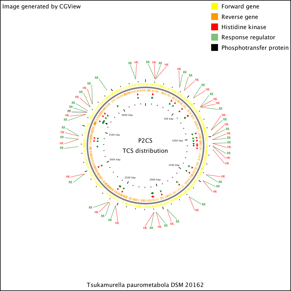 【tsukamurella】什么意思_英语tsukamurella的翻译_音标_读音_用法_例句_在线翻译_有道词典
