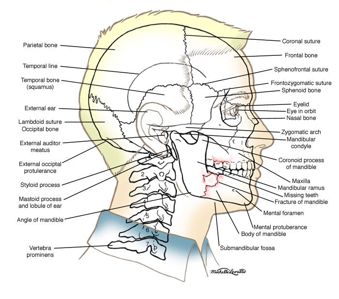 jaw-jaw