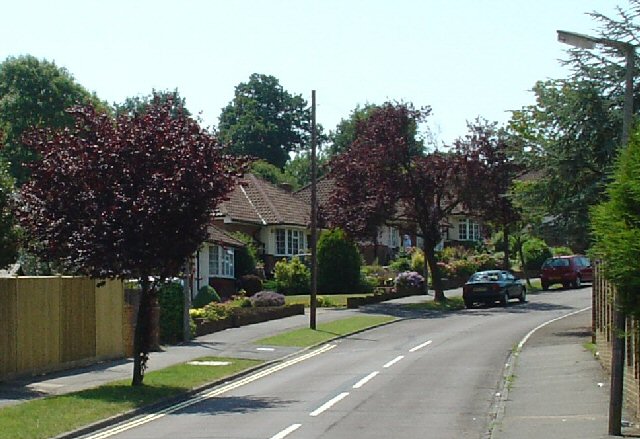 【burgess_hill】什么意思_英语burgess_hill的翻