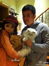 一菲与小贤的两只猫咪