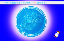 CAPP 捕获甲醛形成透明胶冻